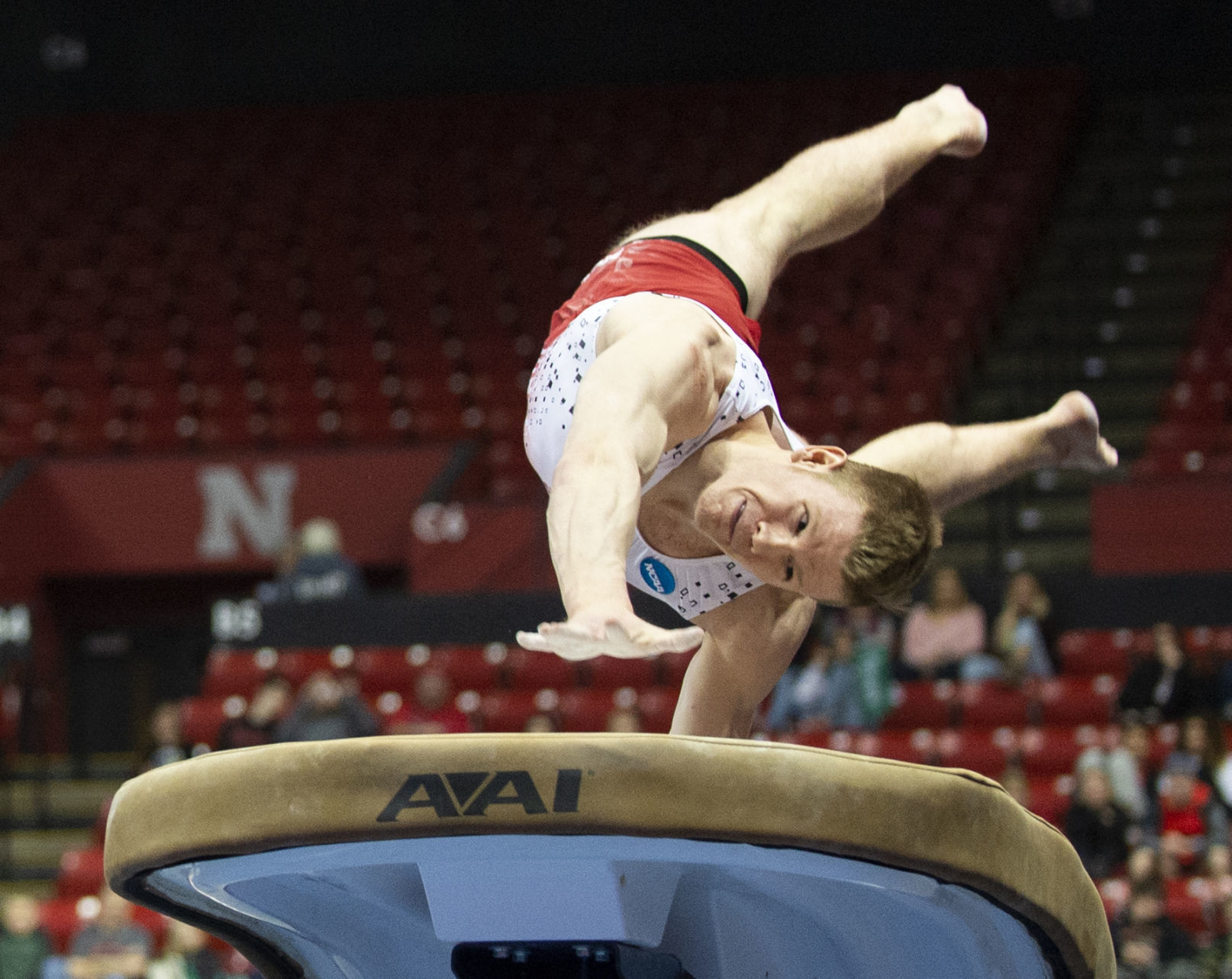 NU men's gymnastics vs. Illinois, Oklahoma, 2.2